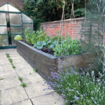 Ipswich North Supported Living - garden