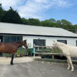 Tandridge Hill Farm - exterior